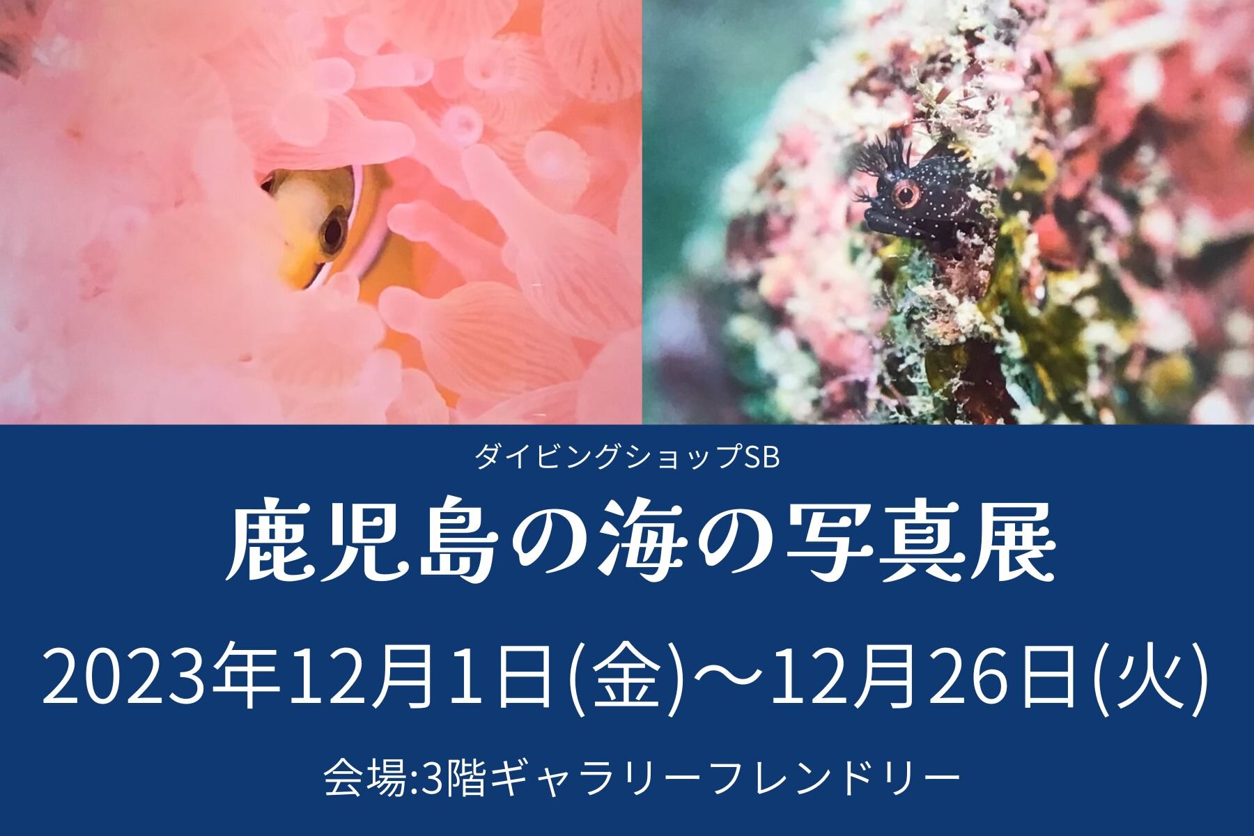 国内線ビル3階ギャラリーフレンドリー
