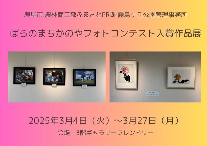 よこ.jpg