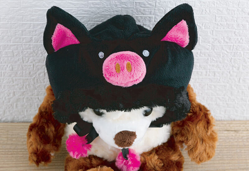 Local Teddy Bear: Kagoshima Kurobuta (Black Pig)